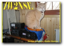 Funny QSL iw2nse